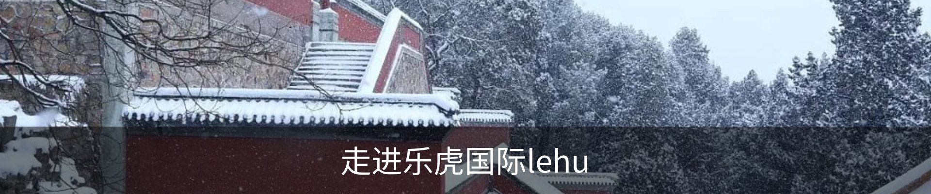 内页banner